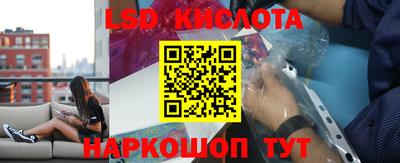 гашик Ярославль