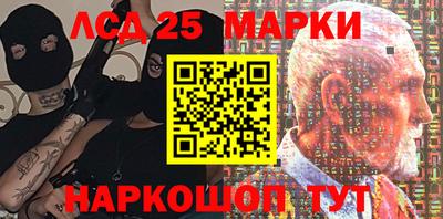 гашик Ярославль
