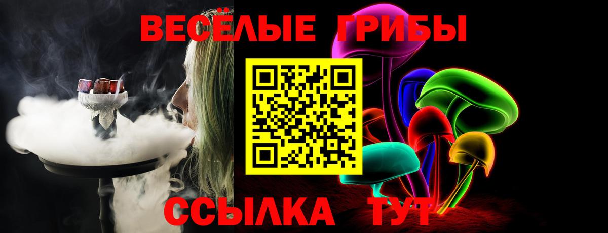 Псилоцибиновые грибы MAGIC MUSHROOMS Алейск
